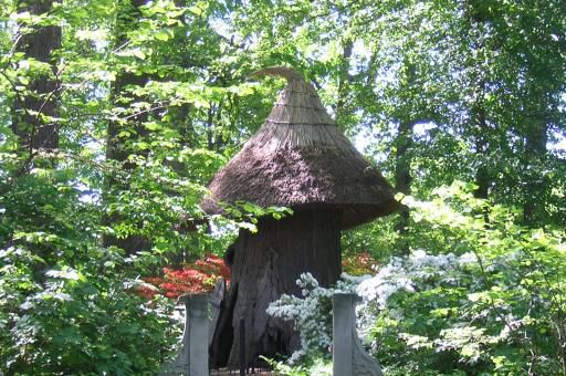 4-30Tulip-tree-House-in-Enchanted-Woods.jpg
